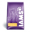 IAMS Kitten & Junior IAMS Kitten & Junior