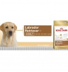 Royal Canin LABRADOR RETRIEVER Royal Canin LABRADOR RETRIEVER