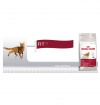 Royal Canin FIT 32 Royal Canin FIT 32