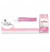 Royal Canin Baby Cat 34