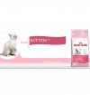 Royal Canin Kitten 36