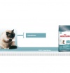 Royal Canin INTENSE HAIRBALL