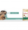 Royal Canin MAIN COON 30 Royal Canin MAIN COON 30