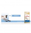 Royal Canin SIAMESE Royal Canin SIAMESE