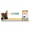 Royal Canin NEMECKÝ OV?IAK JUNIOR Royal Canin NEMECKÝ OV?IAK JUNIOR