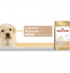 Royal Canin LABRADOR RETRIEVER JUNIOR 12 kg Royal Canin LABRADOR RETRIEVER JUNIOR 12 kg
