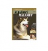 Aljašský malamut Aljašský malamut