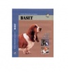 Basset Basset