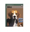Beagle Beagle