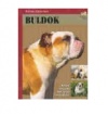 Buldog Buldog