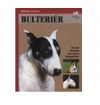 Bulteriér Bulteriér