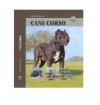 Cane corso Cane corso