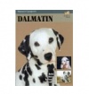 Dalmatin Dalmatin