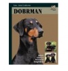 Doberman Doberman