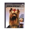 Yorkshire terrier Yorkshire terrier