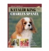 Kavalír King Charles Španěl Kavalír King Charles Španěl