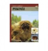 Pekinéz Pekinéz