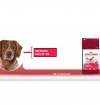 Royal Canin MEDIUM Adult Royal Canin MEDIUM Adult