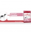 Royal Canin MEDIUM Junior Royal Canin MEDIUM Junior