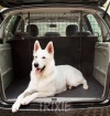 Mre�a Safety Lattice do auta