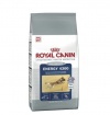 Royal Canin ENERGY 4300 - 15 kg Royal Canin ENERGY 4300 - 15 kg