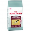 Royal Canin ENERGY 4800 - 15 kg Royal Canin ENERGY 4800 - 15 kg