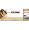 Royal Canin BULLDOG Royal Canin BULLDOG