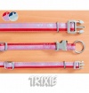 Obojok Dandy collar
