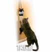 �krabadlo Kitty
