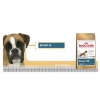 Royal Canin BOXER Royal Canin BOXER