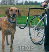Cyklistick� set pre bezpe�n� vzdialenos� psa od bicykla