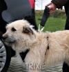 Vod�tko kr�tke s bezpe�nostn�m p�som Protect Plus