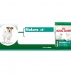 Royal Canin MINI Mature 2kg Royal Canin MINI Mature 2kg