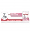 Royal Canin MEDIUM Starter and Babydog Royal Canin MEDIUM Starter and Babydog