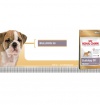 Royal Canin Bulldog Junior Royal Canin Bulldog Junior