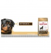Royal Canin Rottweiler Royal Canin Rottweiler
