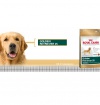Royal Canin Golden Retriever Adult Royal Canin Golden Retriever Adult