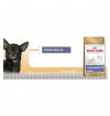Royal Canin Čivava Junior Royal Canin Čivava Junior