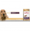 Royal Canin Kokeršpaniel Royal Canin Kokeršpaniel