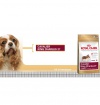 Royal Canin King Charles Spaniel Royal Canin King Charles Spaniel