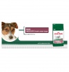 Royal Canin Mini Indoor Royal Canin Mini Indoor