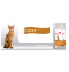 Royal Canin Exigent  42 Protein preference