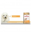 Royal Canin PUDEL Royal Canin PUDEL