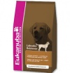 EUKANUBA Labrador retriever EUKANUBA Labrador retriever